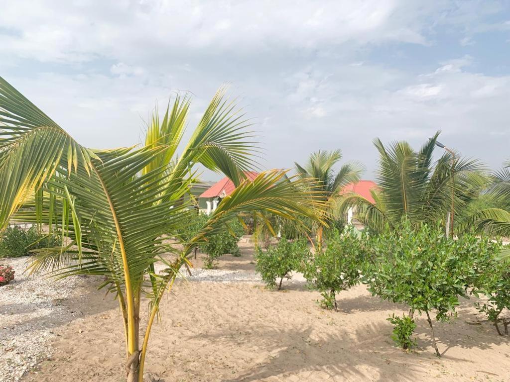 Bosofet Beach And Creek Lodge Sanyang Exterior photo